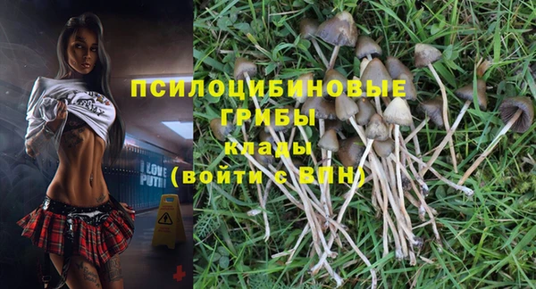 ГАЛЛЮЦИНОГЕННЫЕ ГРИБЫ Сатка