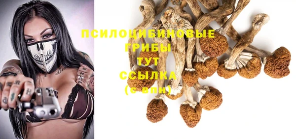 молекула духа Володарск